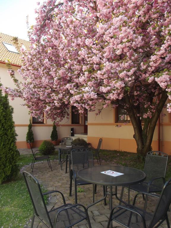 Pannon Panzió Mohács Exterior foto